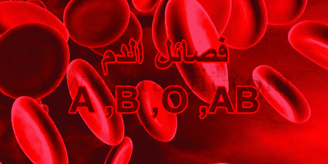 فصيلة الدم و الغذاء المناسب لفصيلة دمك