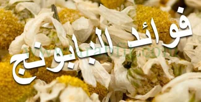 فوائد البابونج