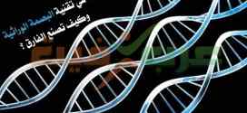 تقنية البصمة الوراثية الشريط الوراثي DNA