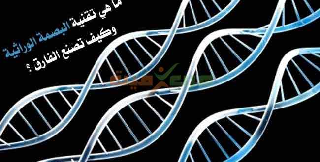 تقنية البصمة الوراثية الشريط الوراثي DNA