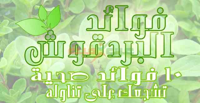 فوائد البردقوش .. 10 فوائد صحية تشجعك على تناوله